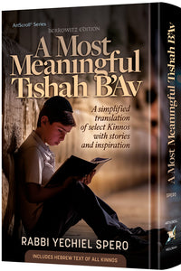 A Most Meaningful Tisha B'Av