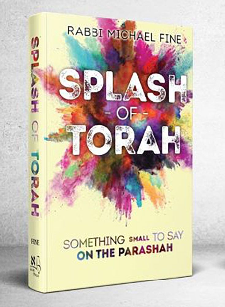 Splash Of Torah