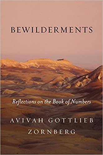 Bewilderments: Reflections on the Book of Numbers