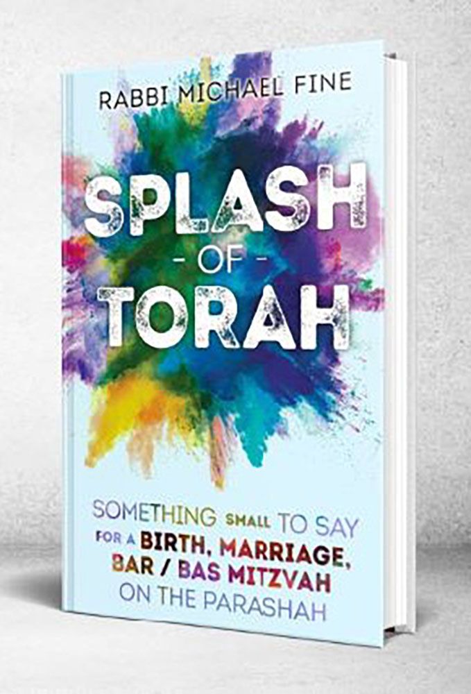 Splash Of Torah, Life Cycle