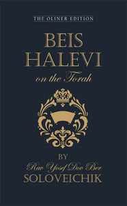 Beis Halevi On The Torah