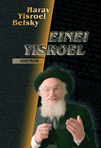 Einei Yisroel Shemos