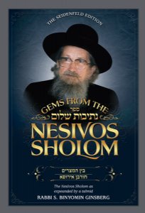 Gems from the Nesivos Shalom: Bein HaMetzarim & Churban Europa